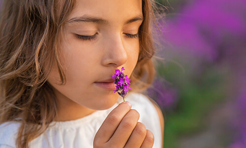 Aus den Duftwelten, junges Mädchen riecht an Lavendelzweig | spirituelle Fachbuchhandlung